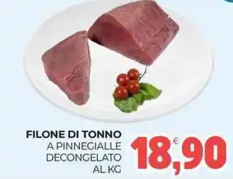 Eté FILONE DI TONNO A pinnegialle decongelato offerta