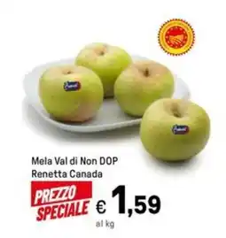 Iper La Grande Mela Val di Non DOP Renetta Canada offerta