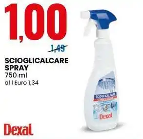 Eurospin Scioglicalcare spray Dexal offerta