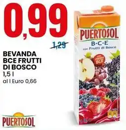 Eurospin Bevanda bce frutti di bosco PUERTOSOL offerta