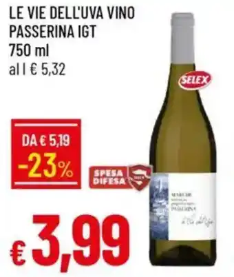 Galassia Le vie dell'uva vino passerina igt offerta