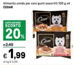 Iper La Grande Alimento umido per cani gusti assortiti CESAR offerta