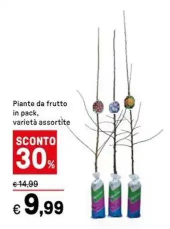 Iper La Grande Piante da frutto in pack, varietà assortite offerta