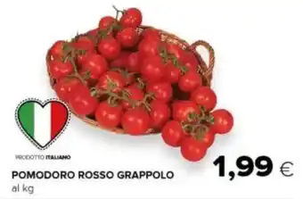 Tigre Pomodoro rosso grappolo offerta