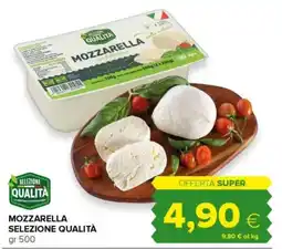 Tigre Mozzarella selezione qualità offerta