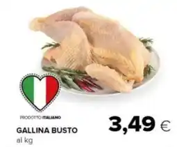 Tigre Gallina busto offerta