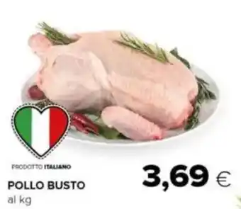 Tigre Pollo busto offerta