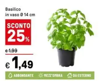 Iper La Grande Basilico offerta