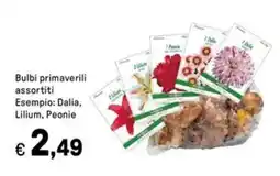 Iper La Grande Bulbi primaverili assortiti offerta