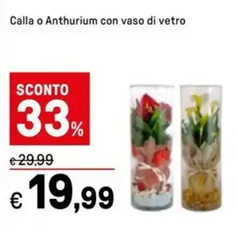 Iper La Grande Calla o Anthurium con vaso di vetro offerta