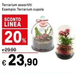 Iper La Grande Terrarium assortiti offerta