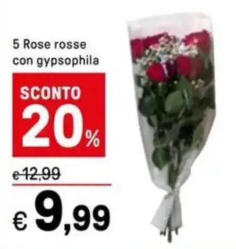 Iper La Grande 5 Rose rosse con gypsophila offerta