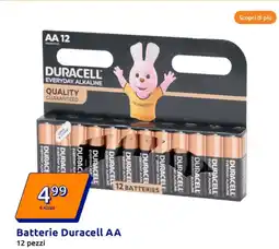 Action Batterie Duracell AA offerta