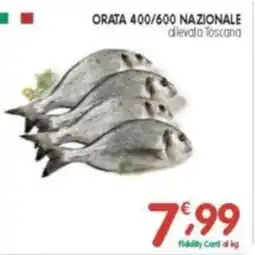 D'Ambros Orata 400/600 nazionale offerta