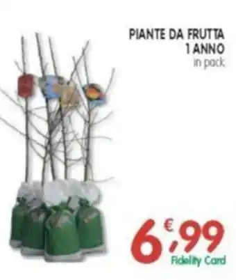 D'Ambros Piante da frutta 1 anno in pack offerta