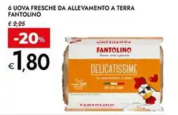 Bennet 6 uova fresche da allevamento a terra FANTOLINO offerta