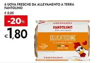 Bennet 6 uova fresche da allevamento a terra FANTOLINO offerta