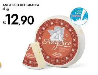 Bennet Angelico del grappa offerta