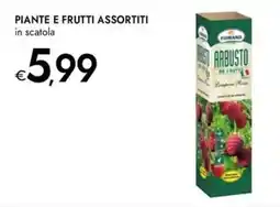 Bennet Piante e frutti assortiti offerta