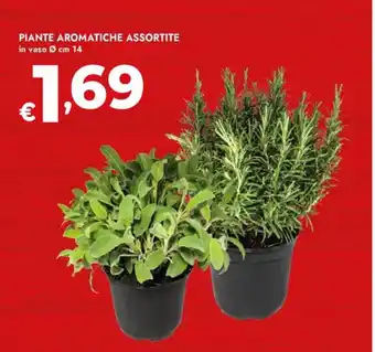 Bennet Piante aromatiche assortite offerta