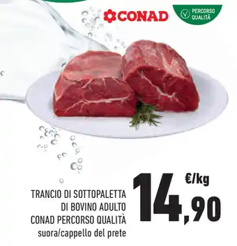 Conad Superstore Trancio di sottopaletta di bovino adulto CONAD PERCORSO QUALITÀ offerta