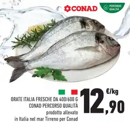 Conad Superstore Orate italia fresche CONAD PERCORSO QUALITÀ offerta