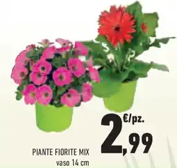 Conad Superstore Piante fiorite mix offerta