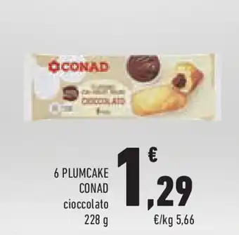 Conad Superstore 6 plumcake CONAD offerta