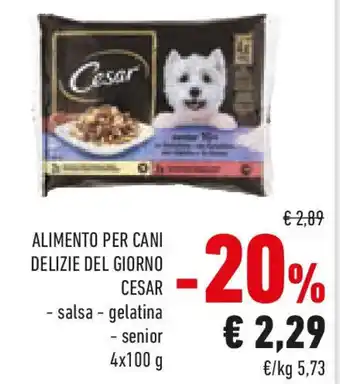 Conad Alimento per cani delizie del giorno CESAR offerta