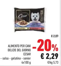 Conad Superstore Alimento per cani delizie del giorno CESAR offerta