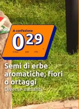 Action Semi di erbe aromatiche, fiori o ortaggi offerta