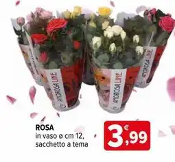 Iperal Rosa offerta