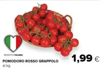 Tigre Pomodoro rosso grappolo al kg offerta