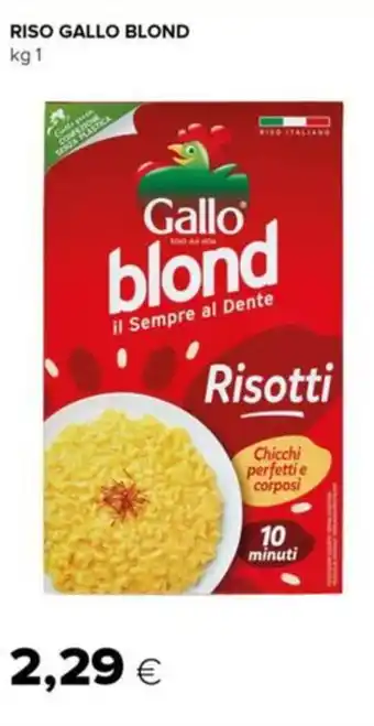 Tigre Riso gallo blond offerta