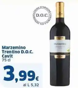 Sigma Marzemino trentino d.o.c. cavit offerta