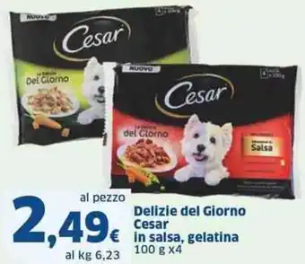 Sigma Delizie del giorno cesar in salsa, gelatina offerta