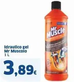 Sigma Idraulico gel mr muscolo offerta