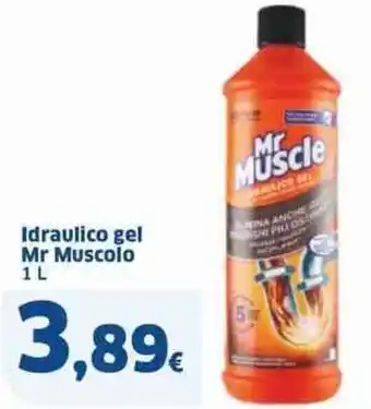 Sigma Idraulico gel mr muscolo offerta