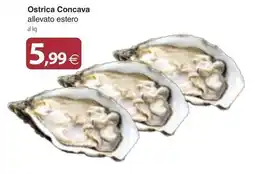 Docks Market Ostrica Concava allevato estero offerta