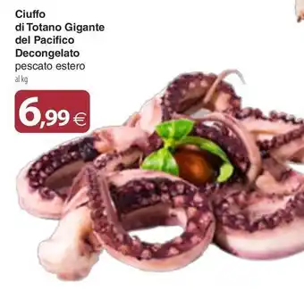 Docks Market Ciuffo di Totano Gigante del Pacifico Decongelato offerta