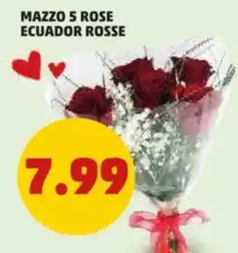 PENNY Mazzo 5 rose ecuador rosse offerta