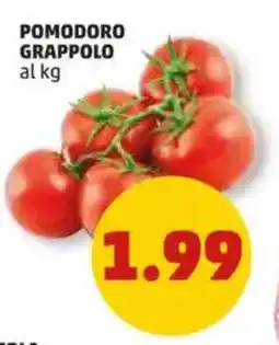 PENNY Pomodoro grappolo offerta