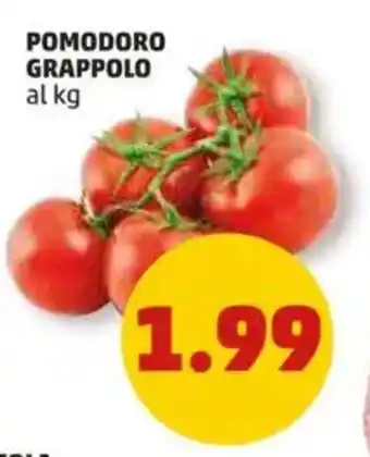 PENNY Pomodoro grappolo offerta