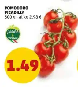 PENNY Pomodoro picadilly offerta