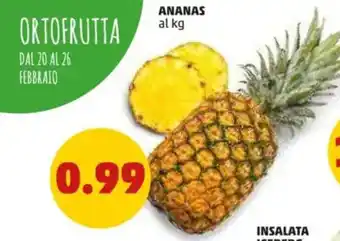 PENNY Ananas offerta