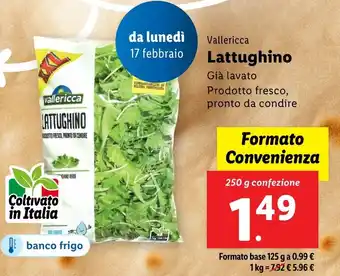 Lidl Vallericca Lattughino offerta