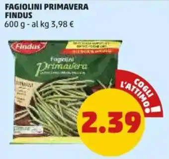 PENNY Fagiolini primavera FINDUS offerta