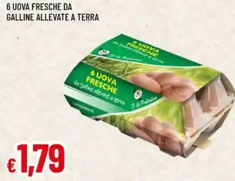 Famila 6 uova fresche da galline allevate a terra offerta