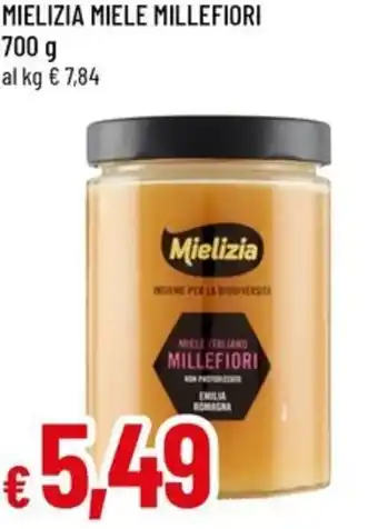 Famila MIELIZIA Miele millefiori offerta