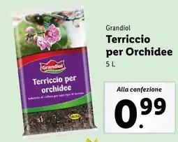 Lidl Grandiol Terriccio per Orchidee offerta